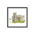 Picture of Bunny in grass _GroupedProduct_Square_Mini_ _GroupedProduct_Square_Canvas_Framed_