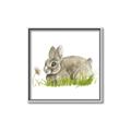 Picture of Bunny in grass _GroupedProduct_Square_Mini_ _GroupedProduct_Square_Canvas_Framed_