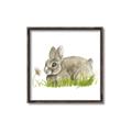 Picture of Bunny in grass _GroupedProduct_Square_Mini_ _GroupedProduct_Square_Canvas_Framed_