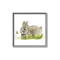 Picture of Bunny in grass _GroupedProduct_Square_Mini_ _GroupedProduct_Square_Canvas_Framed_