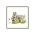 Picture of Bunny in grass _GroupedProduct_Square_Mini_ _GroupedProduct_Square_Canvas_Framed_