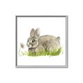 Picture of Bunny in grass _GroupedProduct_Square_Mini_ _GroupedProduct_Square_Canvas_Framed_