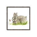 Picture of Bunny in grass _GroupedProduct_Square_Mini_ _GroupedProduct_Square_Canvas_Framed_
