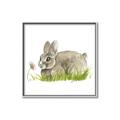 Picture of Bunny in grass _GroupedProduct_Square_Mini_ _GroupedProduct_Square_Canvas_Framed_