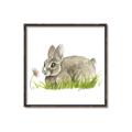 Picture of Bunny in grass _GroupedProduct_Square_Mini_ _GroupedProduct_Square_Canvas_Framed_