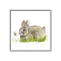 Picture of Bunny in grass _GroupedProduct_Square_Mini_ _GroupedProduct_Square_Canvas_Framed_