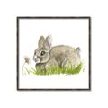 Picture of Bunny in grass _GroupedProduct_Square_Mini_ _GroupedProduct_Square_Canvas_Framed_