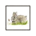 Picture of Bunny in grass _GroupedProduct_Square_Mini_ _GroupedProduct_Square_Canvas_Framed_