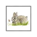 Picture of Bunny in grass _GroupedProduct_Square_Mini_ _GroupedProduct_Square_Canvas_Framed_