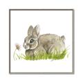 Picture of Bunny in grass _GroupedProduct_Square_Mini_ _GroupedProduct_Square_Canvas_Framed_