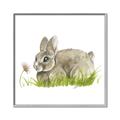 Picture of Bunny in grass _GroupedProduct_Square_Mini_ _GroupedProduct_Square_Canvas_Framed_