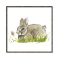 Picture of Bunny in grass _GroupedProduct_Square_Mini_ _GroupedProduct_Square_Canvas_Framed_