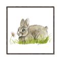Picture of Bunny in grass _GroupedProduct_Square_Mini_ _GroupedProduct_Square_Canvas_Framed_