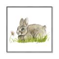 Picture of Bunny in grass _GroupedProduct_Square_Mini_ _GroupedProduct_Square_Canvas_Framed_