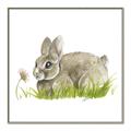 Picture of Bunny in grass _GroupedProduct_Square_Mini_ _GroupedProduct_Square_Canvas_Framed_