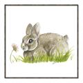 Picture of Bunny in grass _GroupedProduct_Square_Mini_ _GroupedProduct_Square_Canvas_Framed_