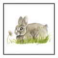 Picture of Bunny in grass _GroupedProduct_Square_Mini_ _GroupedProduct_Square_Canvas_Framed_