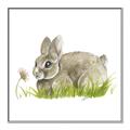 Picture of Bunny in grass _GroupedProduct_Square_Mini_ _GroupedProduct_Square_Canvas_Framed_