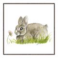 Picture of Bunny in grass _GroupedProduct_Square_Mini_ _GroupedProduct_Square_Canvas_Framed_