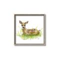 Picture of Deer in grass _GroupedProduct_Square_Mini_ _GroupedProduct_Square_Canvas_Framed_