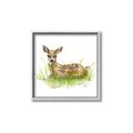 Picture of Deer in grass _GroupedProduct_Square_Mini_ _GroupedProduct_Square_Canvas_Framed_