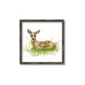 Picture of Deer in grass _GroupedProduct_Square_Mini_ _GroupedProduct_Square_Canvas_Framed_