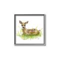 Picture of Deer in grass _GroupedProduct_Square_Mini_ _GroupedProduct_Square_Canvas_Framed_