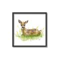 Picture of Deer in grass _GroupedProduct_Square_Mini_ _GroupedProduct_Square_Canvas_Framed_