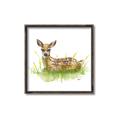 Picture of Deer in grass _GroupedProduct_Square_Mini_ _GroupedProduct_Square_Canvas_Framed_