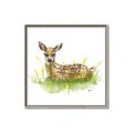 Picture of Deer in grass _GroupedProduct_Square_Mini_ _GroupedProduct_Square_Canvas_Framed_