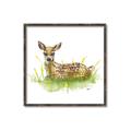 Picture of Deer in grass _GroupedProduct_Square_Mini_ _GroupedProduct_Square_Canvas_Framed_
