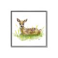 Picture of Deer in grass _GroupedProduct_Square_Mini_ _GroupedProduct_Square_Canvas_Framed_