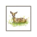 Picture of Deer in grass _GroupedProduct_Square_Mini_ _GroupedProduct_Square_Canvas_Framed_