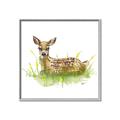 Picture of Deer in grass _GroupedProduct_Square_Mini_ _GroupedProduct_Square_Canvas_Framed_