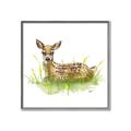 Picture of Deer in grass _GroupedProduct_Square_Mini_ _GroupedProduct_Square_Canvas_Framed_