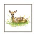 Picture of Deer in grass _GroupedProduct_Square_Mini_ _GroupedProduct_Square_Canvas_Framed_