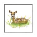 Picture of Deer in grass _GroupedProduct_Square_Mini_ _GroupedProduct_Square_Canvas_Framed_