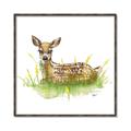 Picture of Deer in grass _GroupedProduct_Square_Mini_ _GroupedProduct_Square_Canvas_Framed_