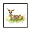Picture of Deer in grass _GroupedProduct_Square_Mini_ _GroupedProduct_Square_Canvas_Framed_