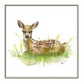 Picture of Deer in grass _GroupedProduct_Square_Mini_ _GroupedProduct_Square_Canvas_Framed_