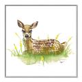 Picture of Deer in grass _GroupedProduct_Square_Mini_ _GroupedProduct_Square_Canvas_Framed_
