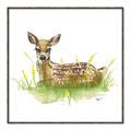 Picture of Deer in grass _GroupedProduct_Square_Mini_ _GroupedProduct_Square_Canvas_Framed_