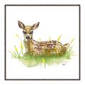 Picture of Deer in grass _GroupedProduct_Square_Mini_ _GroupedProduct_Square_Canvas_Framed_