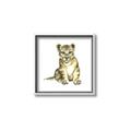 Picture of Little Lion _GroupedProduct_Square_Mini_ _GroupedProduct_Square_Canvas_Framed_