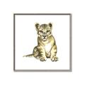 Picture of Little Lion _GroupedProduct_Square_Mini_ _GroupedProduct_Square_Canvas_Framed_