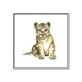Picture of Little Lion _GroupedProduct_Square_Mini_ _GroupedProduct_Square_Canvas_Framed_