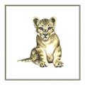 Picture of Little Lion _GroupedProduct_Square_Mini_ _GroupedProduct_Square_Canvas_Framed_
