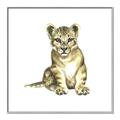 Picture of Little Lion _GroupedProduct_Square_Mini_ _GroupedProduct_Square_Canvas_Framed_