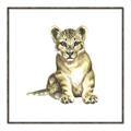 Picture of Little Lion _GroupedProduct_Square_Mini_ _GroupedProduct_Square_Canvas_Framed_