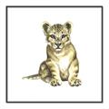 Picture of Little Lion _GroupedProduct_Square_Mini_ _GroupedProduct_Square_Canvas_Framed_